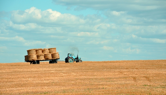 Droits de succession: un bail rural permet-il une exonération?