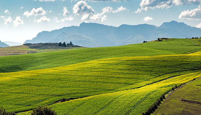 Un nouveau type de structure agricole pour attirer l’épargne des Français ?